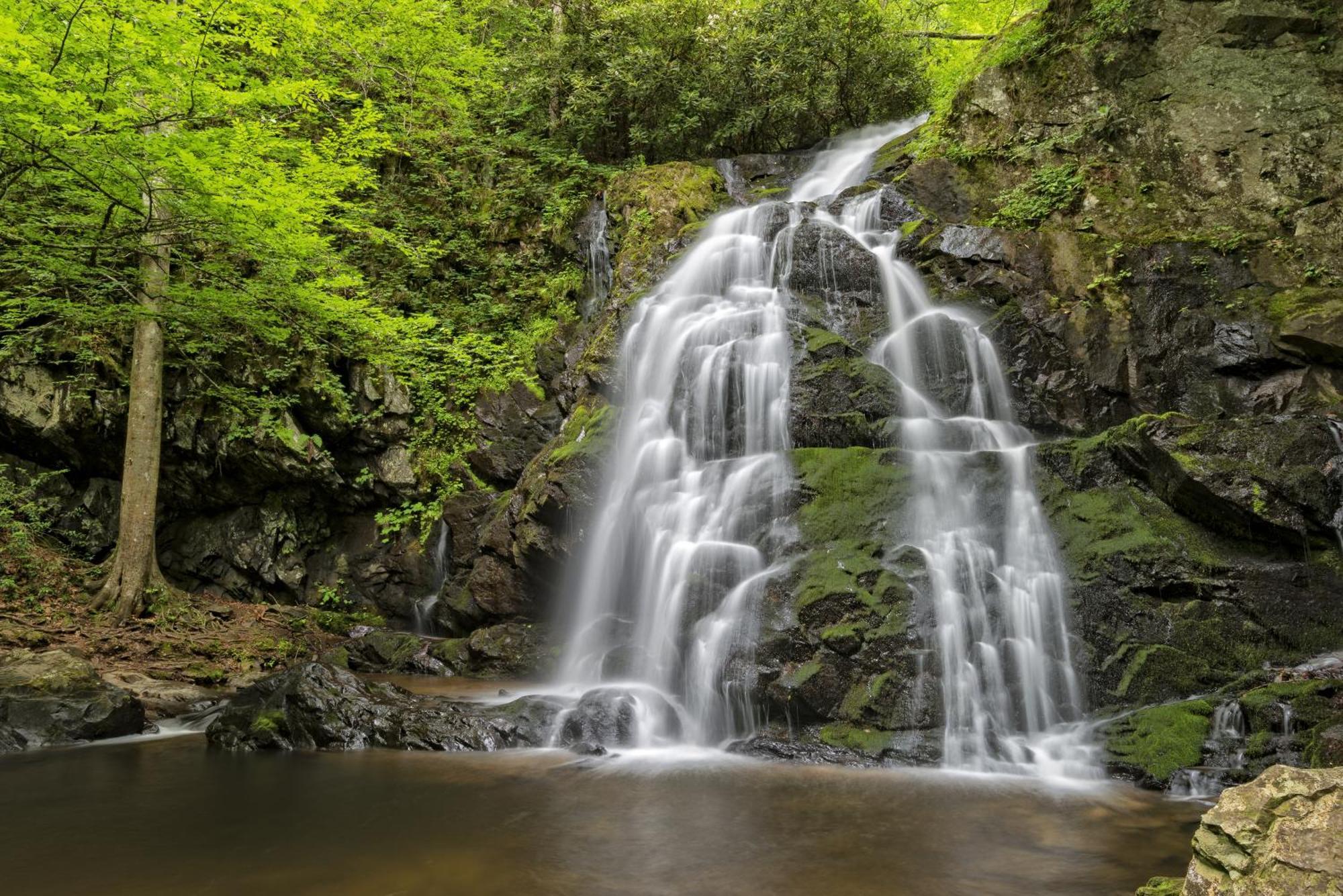 Bear Den, Hot Tub, 1089 Of Free Attraction Tickets For Each Paid Day, Dollywood And More! Sevierville Exteriér fotografie