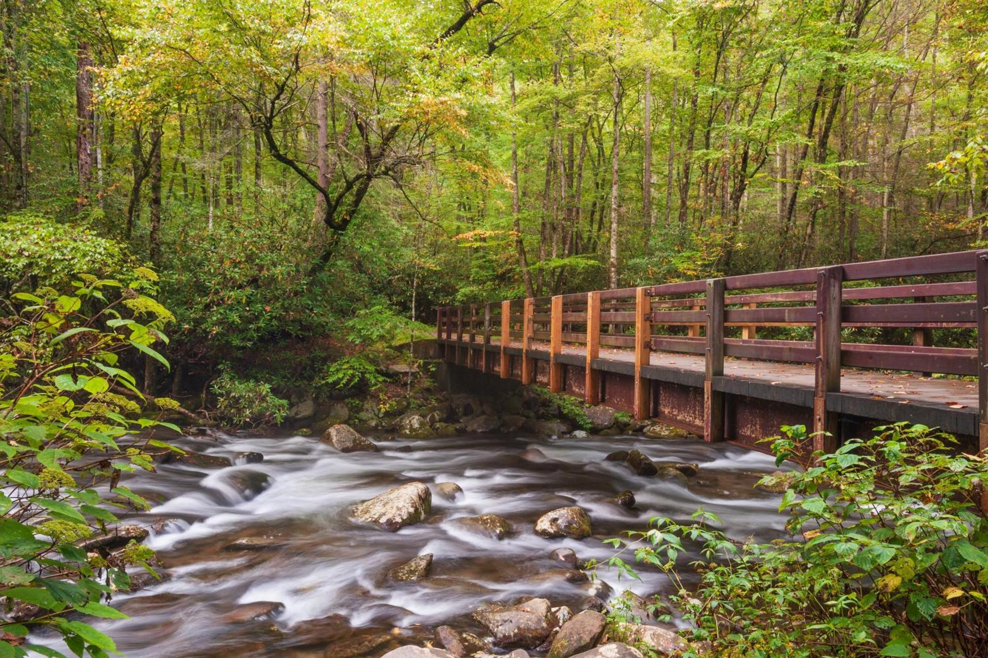 Bear Den, Hot Tub, 1089 Of Free Attraction Tickets For Each Paid Day, Dollywood And More! Sevierville Exteriér fotografie