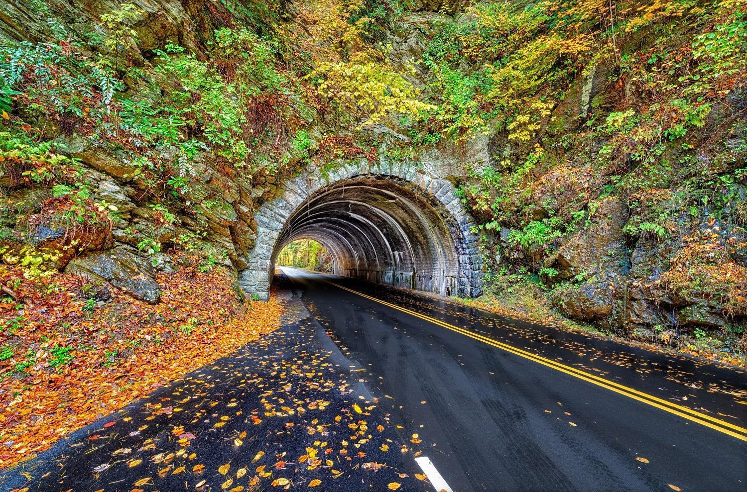 Bear Den, Hot Tub, 1089 Of Free Attraction Tickets For Each Paid Day, Dollywood And More! Sevierville Exteriér fotografie